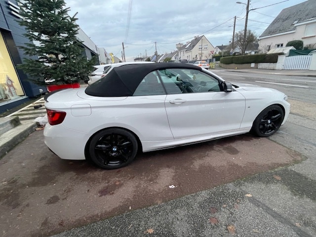 Voiture Cibema Richard